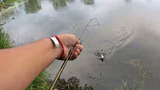 Tarde de pesca