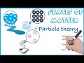 Understanding Particle Theory and States of Matter