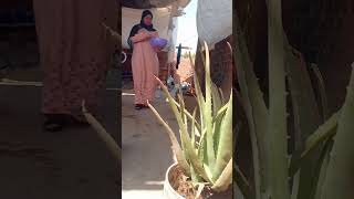 الروتين اليومي في البيت