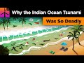 Tsunami Awareness and Response
