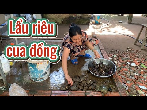 Nấu Lẩu Riêu Cua Đồng Của Bà Nội Gà Con Gửi Qua, Hái Rau Vườn Vô Nhúng Lẩu - Em Gái Quê