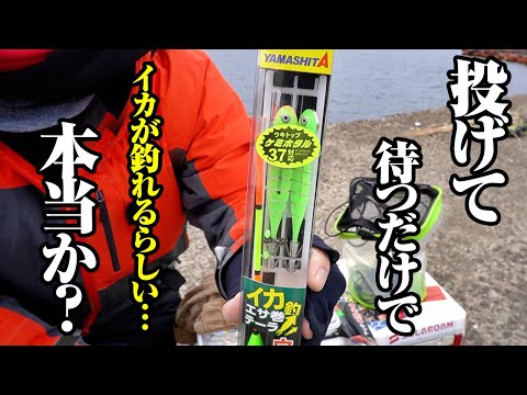 【突然の入れ食いフィーバー】投げて待つだけのお手軽イカ釣り仕掛けに初挑戦。本当に釣れるか疑い始めたその時…