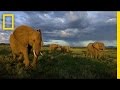 Elephant Conservation and Citizen Science