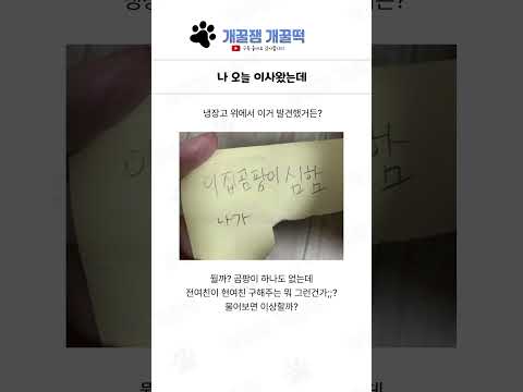 귀엽고 웃긴짤 모음 8탄 ㅋㅋㅋㅋㅋ