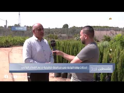 تدخلات وزارة الزراعة لدعم القطاع الزراعي في قلقيلية في حوار مع مدير زراعة المحافظة أحمد عيد