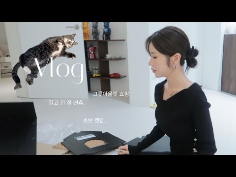 VLOG. 새댁 브이로그ㅣ설연휴 가족끼리 영화보기ㅣ하얼빈ㅣ모드니 그릇아울렛 하울ㅣ마당냥이 집만들기ㅣ중식당 맛집 쥬에ㅣ세컨브레스ㅣ분아뜰리에