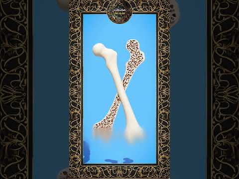 قوة العظم البشري اللي مش هتتخيلها!