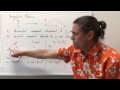 Projectile Motion Concepts