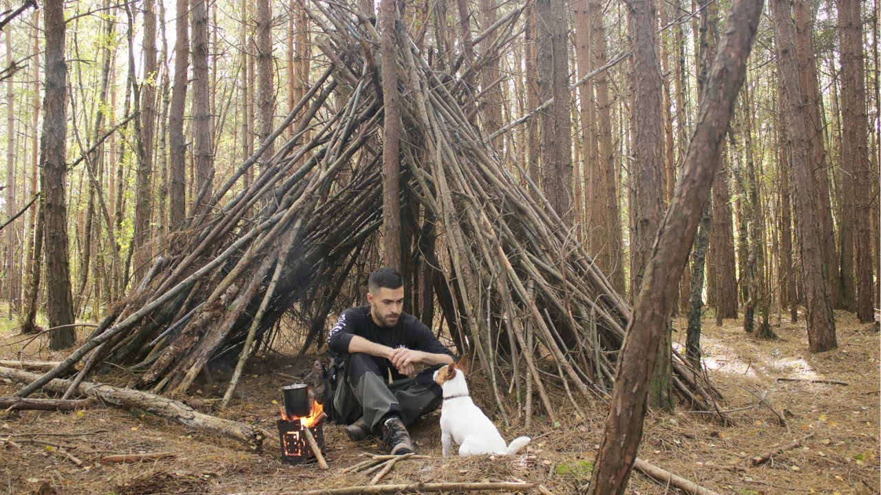 Bushcraft Camp Shelter - Campfire, Long Hike with my Dog, Folding Wood Stove