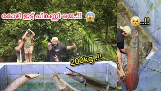 💥250kg  ഭീകരൻ മീനുകൾക്കു കോഴിയെ ഇട്ടു കൊടുത്തപ്പോൾ . .!!😰| Feeding Chicken to Monster Fishes