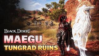 By Far The Best Class for Tungrad Ruins - Maegu Succession PvE Guide | Black Desert