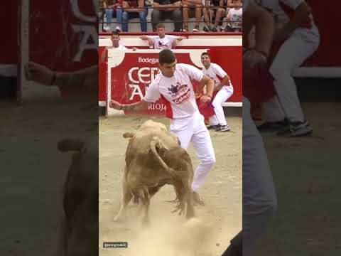 quiebro Aaron grande toros bravos Azpeitia #shorts (4)