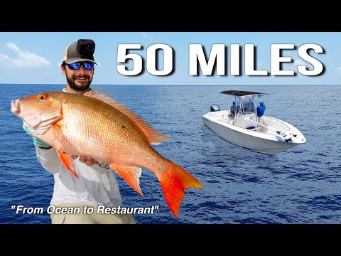 From Ocean to Restaurant | 50 Mile Offshore Adventure (Catch and Cook)