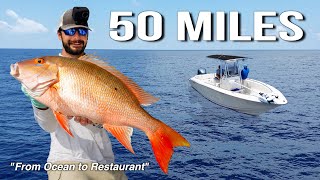 From Ocean to Restaurant | Fishing 50 Miles Offshore (Tampa Bay, Florida)