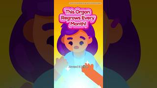 Humans Can Regrow an Organ