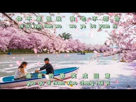 Nan Fen Li {難分離} karaoke no vocal male  男版伴奏