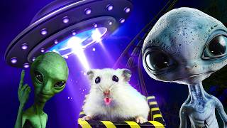 Hamster in Roller Coaster & Minecraft ALIEN UFO maze