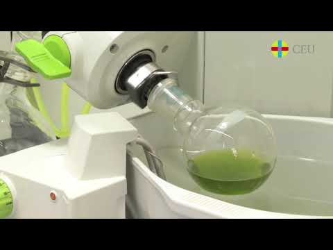 Semana-ciencia - Videos - Búsqueda de nuevos principios activos de origen natural