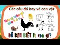 Đố Vui Về Động Vật