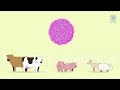 Foot and Mouth Disease Awareness