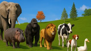 Animals Cross Color Changing Fountain! Elephant Hippo Gorilla Lion Cow Dog Duck Adventure!