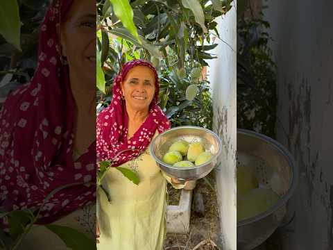 Aj pakke hue sare aam tode #minivlog #dailyminivlog #minivlogseries #familyvlog #familyfun