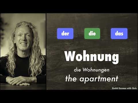 German A2 Beginner Quiz - Articles with Singular and Plural - #2