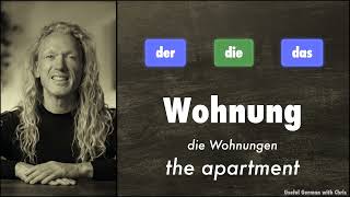 German A2 Beginner Quiz - Articles with Singular and Plural - #2