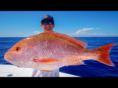 GIANT Red Snapper, Grouper, Tuna! Catch Clean Cook (Gulf of Mexico Fishing)