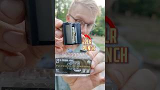 Can A Car Door Stop A 22LR?
