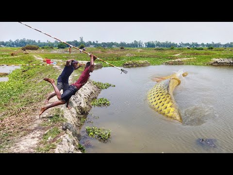 While passing By The Canal, Two Fishermen Caught The Catfish With The Help Of Teta.