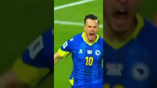 This Goal Made The WHOLE Stadium Erupt! #footballshorts #footballshorts #bosnia #football