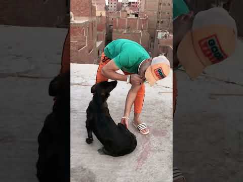 نمره عامل بوبا اي علي الريق🤔😂