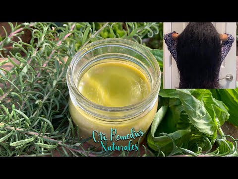 Acelera el Crecimiento del Cabello con Albahaca y Romero 🌿🌱🍃