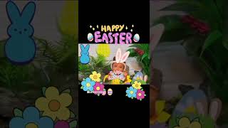 Wishing you all a very Happy Easter! 🐣#barbie #easter #kids