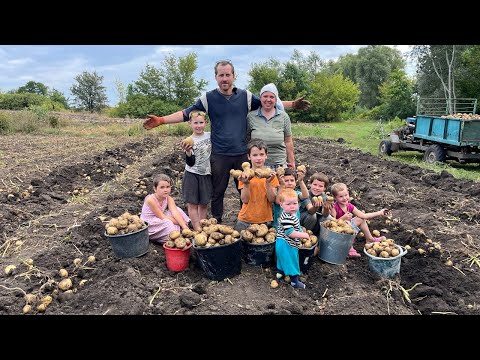 ФАНТАСТИЧЕСКИЙ урожай картофеля собираем всей семьей! Хватит на всех!