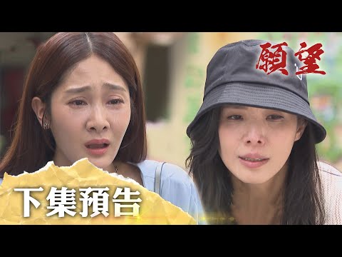 願望 EP260 預告｜愛羽就是麗君！冬雨哭著和媽媽用小白兔相認 詩涵親手送廷偉坐牢 顧成的死你得負責！｜【十全果醋】