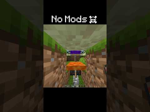 No Mods☠️ #bug #minecraft
