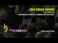 Human Skeletal System Knowledge