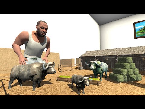 Found Tiny Buffalo - INDIAN BIKES DRIVING 3D