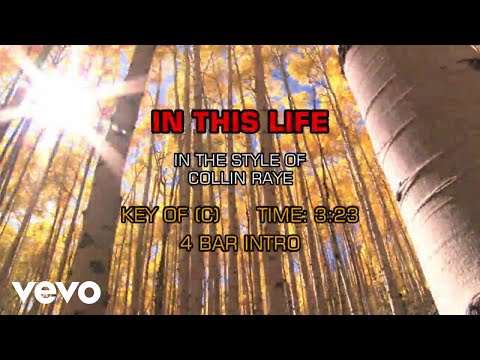 Collin Raye – In This Life (Karaoke)