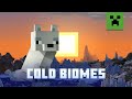 Survival Strategies in Snowy Biomes
