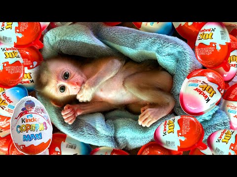 Junya 980000 Yummy Kinder Joy Chocolate, Kinder Surprise Opening ASMR Lollipops Some Lot's of Candie