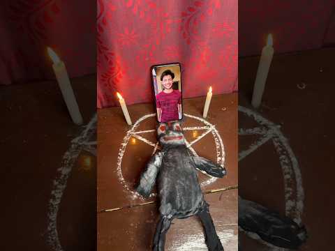 Caty Ne Kiya Jadu Mantar ☠️😱 | Mini Vlog #shorts #minivlog #ashortaday #vlog #tranding #cats #cat