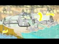 Exploring the Impact of the Water Cycle on Our Environment