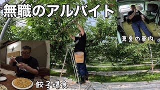 【趣味の車上生活】45歳無職のアルバイト！さくらんぼ収穫と伝説の裏メニュー爆食！