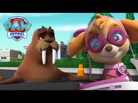 O Wally está preso e os cachorros precisam de ajudar! - Patrulha Pata PAW Patrol Episódio Português