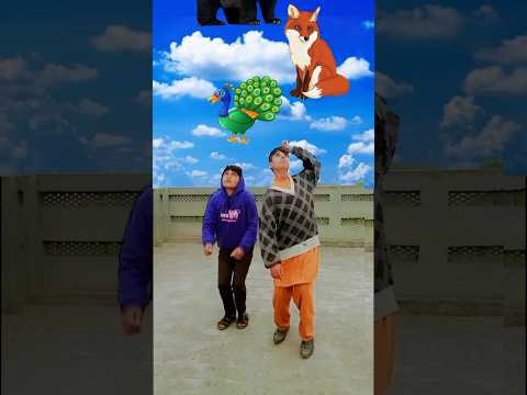 halal ? and Haram ? animal meat in Islam?#viral#shorts#islamic#islamicvfx#status#whatsappstatus