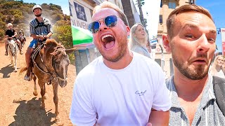 PAARD RIJDEN IN DE BERGEN & WOORDGRAPPEN IN DE STAD! 🇺🇸