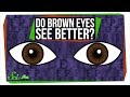 Eye Color and Its Effects